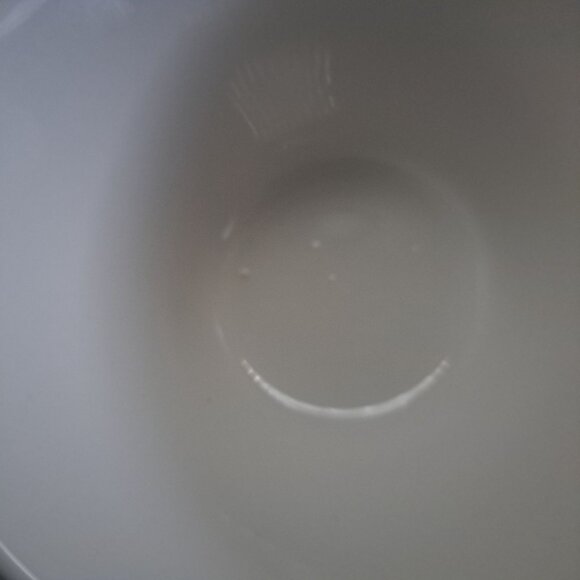 Syracuse China Pudding Cup Airbrushed Goose Design Ceramic - Picture 9 of 11